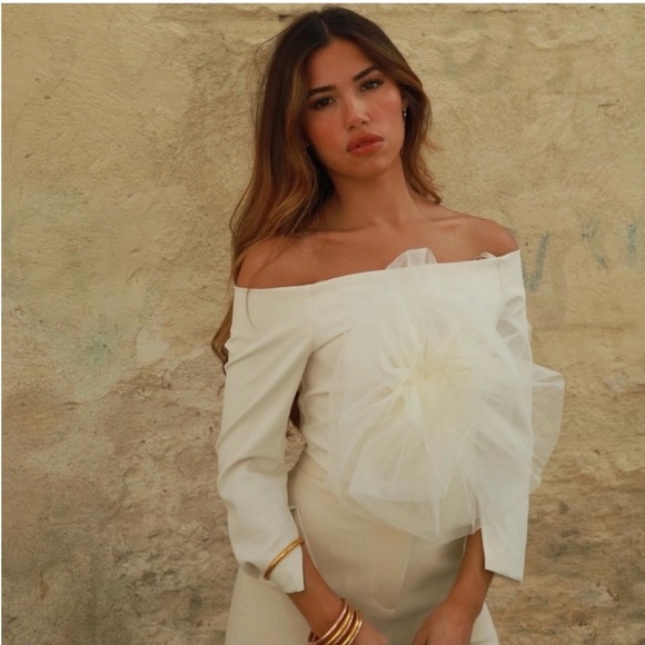 Zara Cropped Floral Tulle Cream Top NWT - Picture 4 of 12